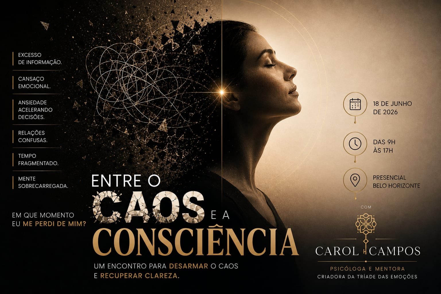 Organize o Caos Interno